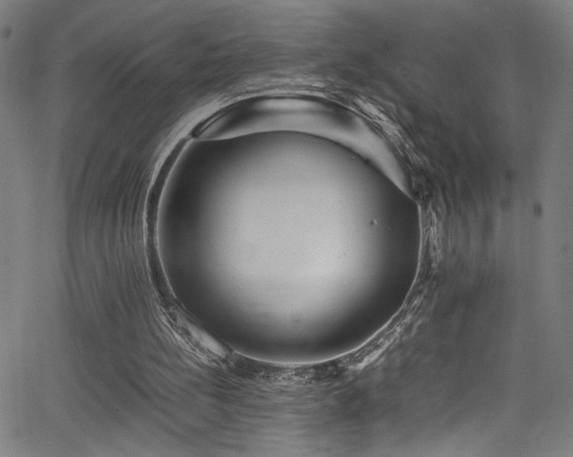 X0000066000148200603031229