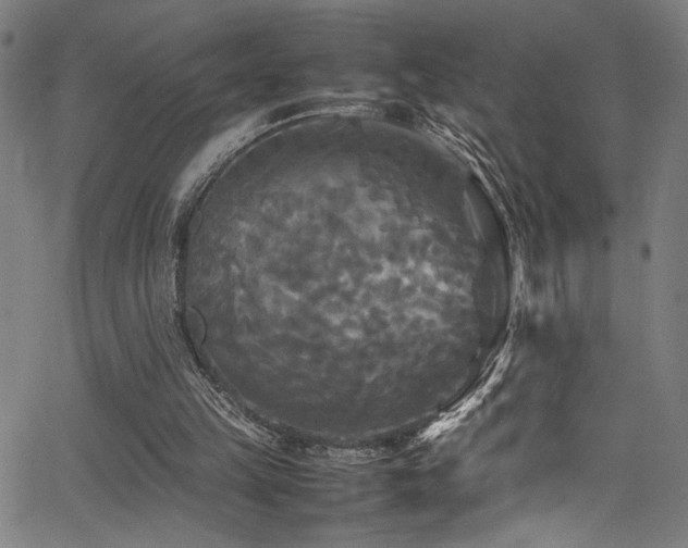 X0000066000149200603031229