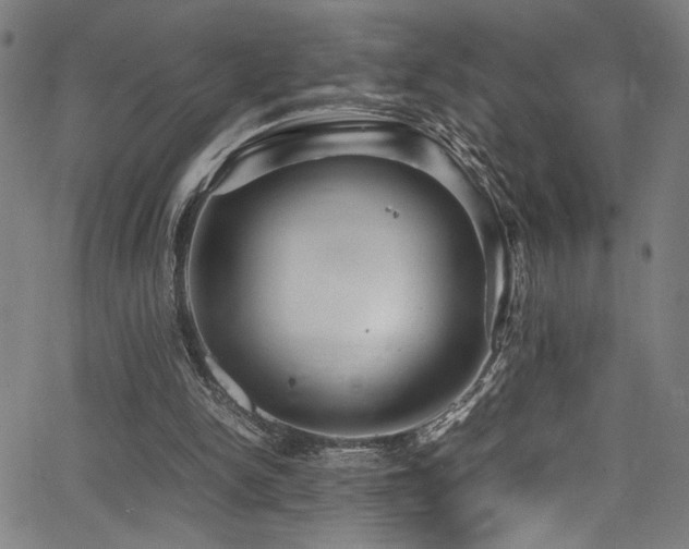 X0000066000150200603031229