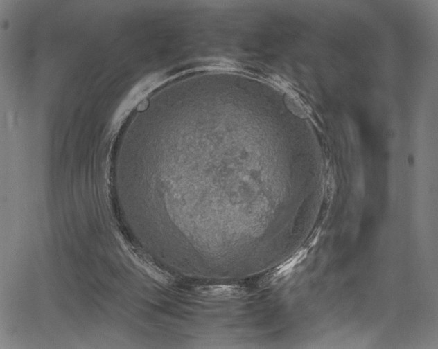 X0000066000151200603031229