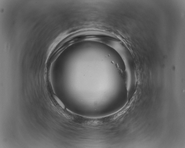 X0000066000152200603031229