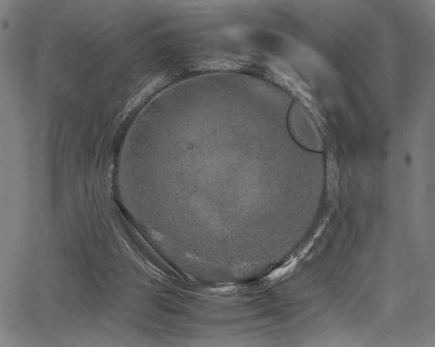 X0000066000153200603031229