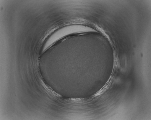 X0000066000154200603031229