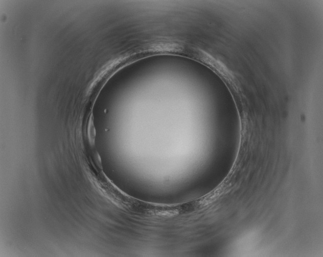 X0000066000155200603031229