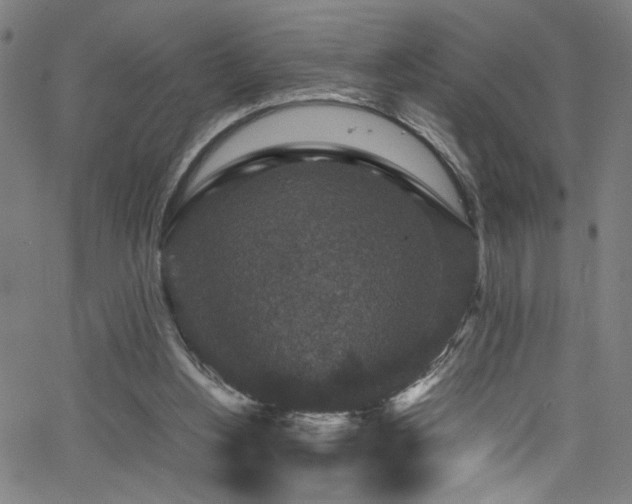 X0000066000156200603031229