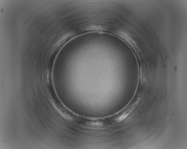 X0000066000157200603031229