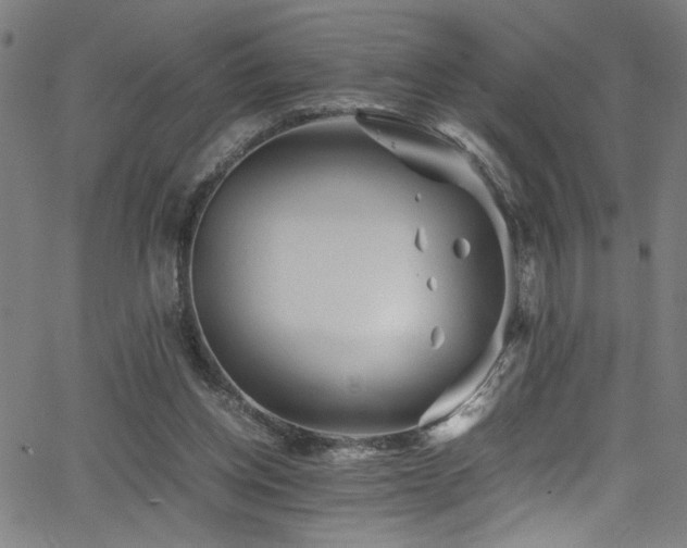 X0000066000158200603031229