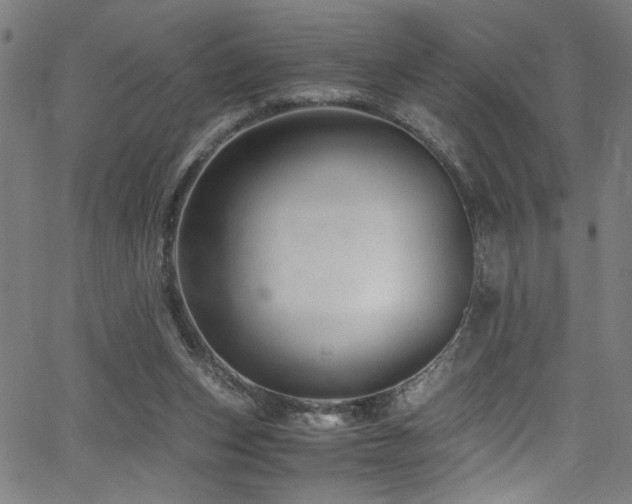 X0000066000159200603031229