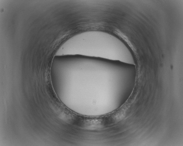 X0000066000161200603031229