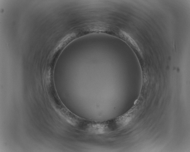 X0000066000163200603031229