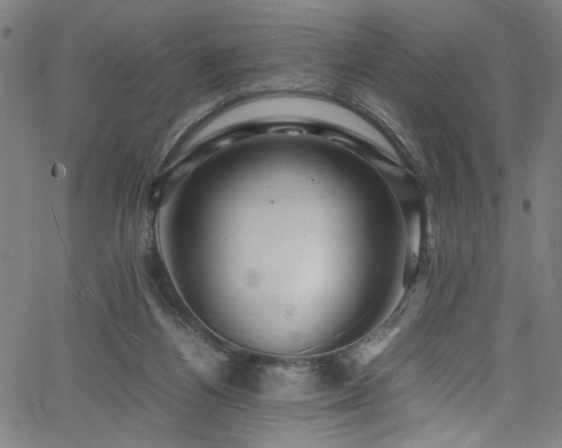 X0000066000164200603031229