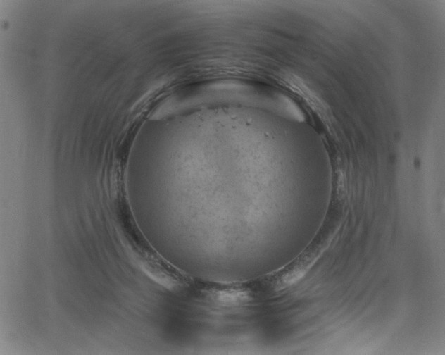 X0000066000165200603031229