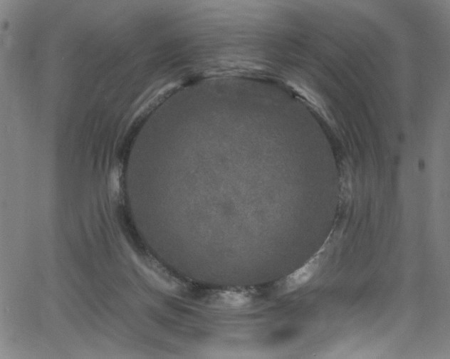 X0000066000166200603031229