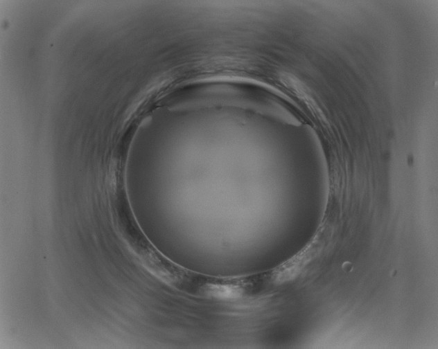 X0000066000167200603031229