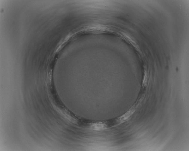 X0000066000168200603031229