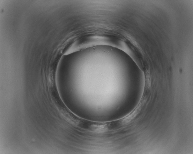 X0000066000170200603031229