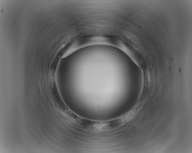 X0000066000172200603031230