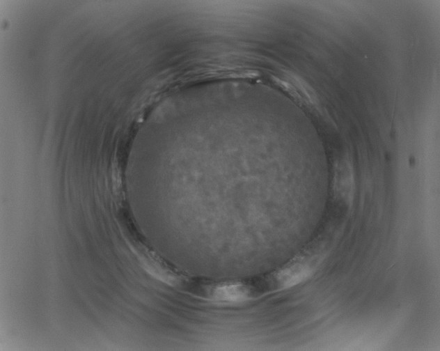 X0000066000173200603031230