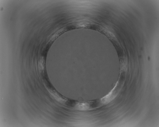 X0000066000174200603031230