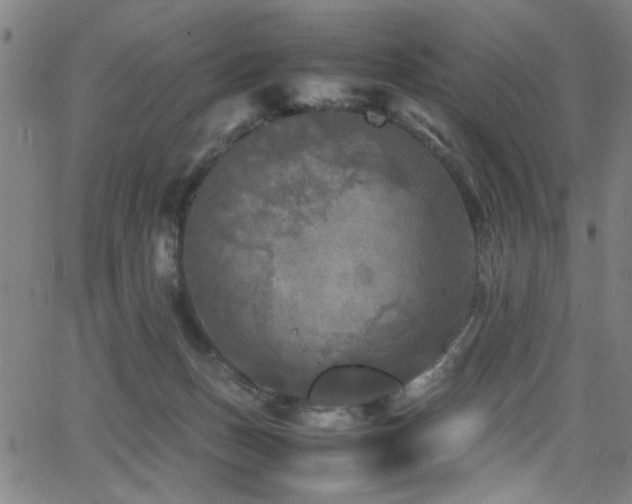 X0000066000175200603031230