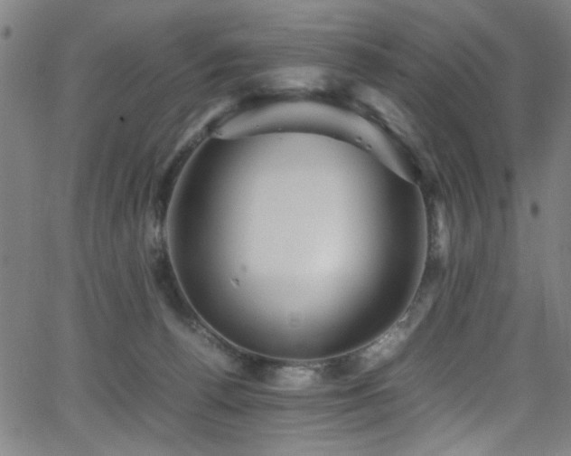 X0000066000176200603031230