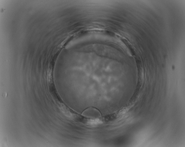 X0000066000177200603031230