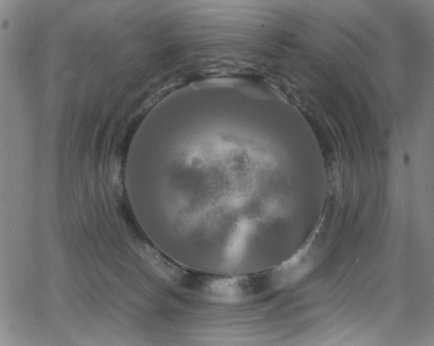 X0000066000178200603031230