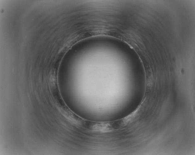 X0000066000179200603031230