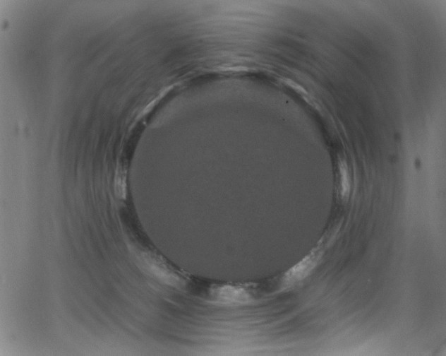 X0000066000180200603031230