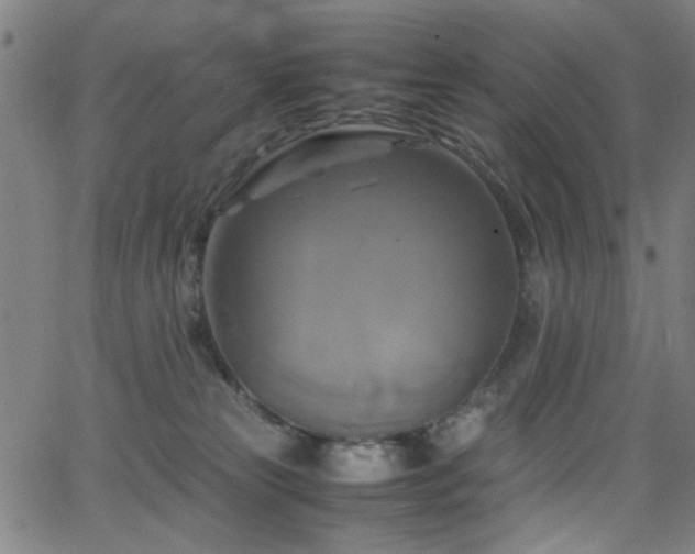 X0000066000181200603031230