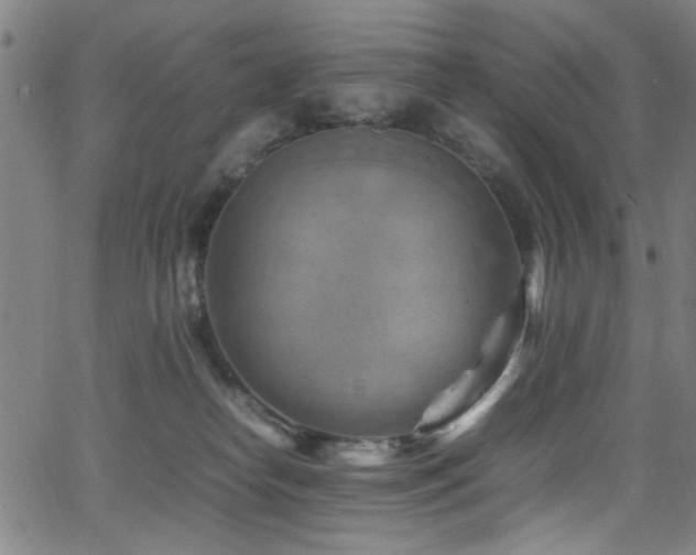 X0000066000182200603031230