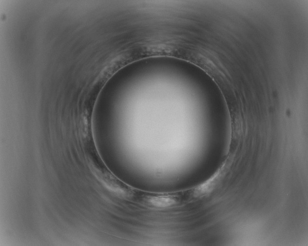 X0000066000183200603031230