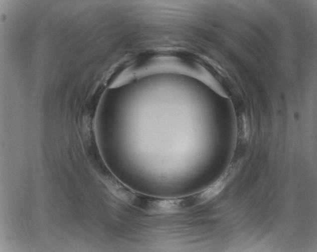 X0000066000184200603031230