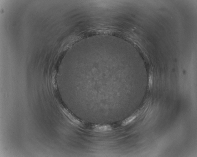 X0000066000185200603031230