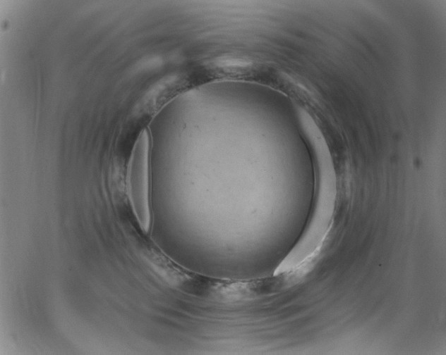 X0000066000186200603031230