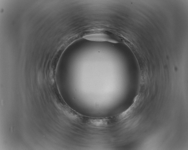 X0000066000187200603031230