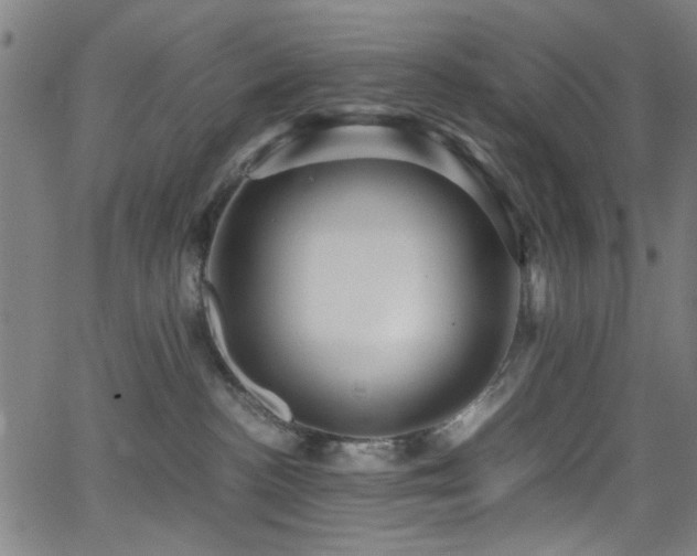 X0000066000188200603031230