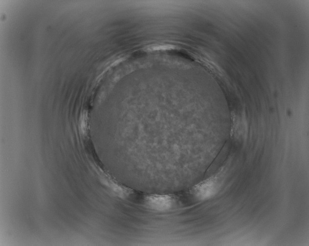 X0000066000189200603031230