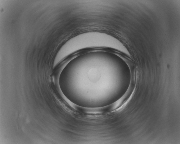 X0000066000190200603031230