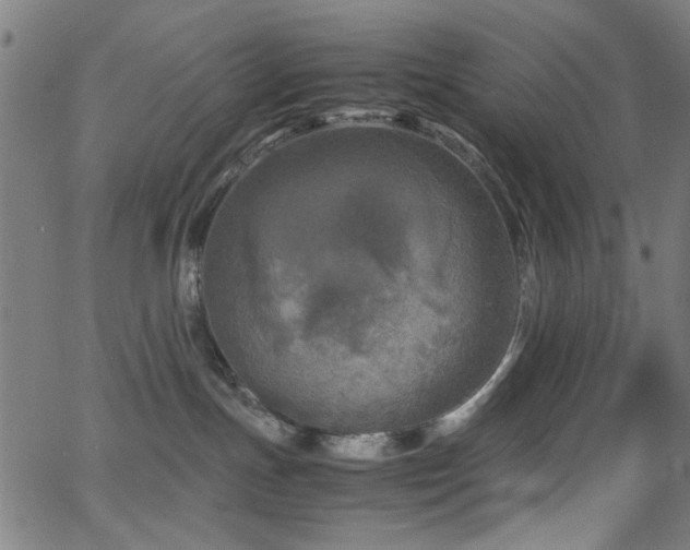 X0000066000191200603031230