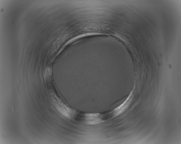 X0000066000192200603031230