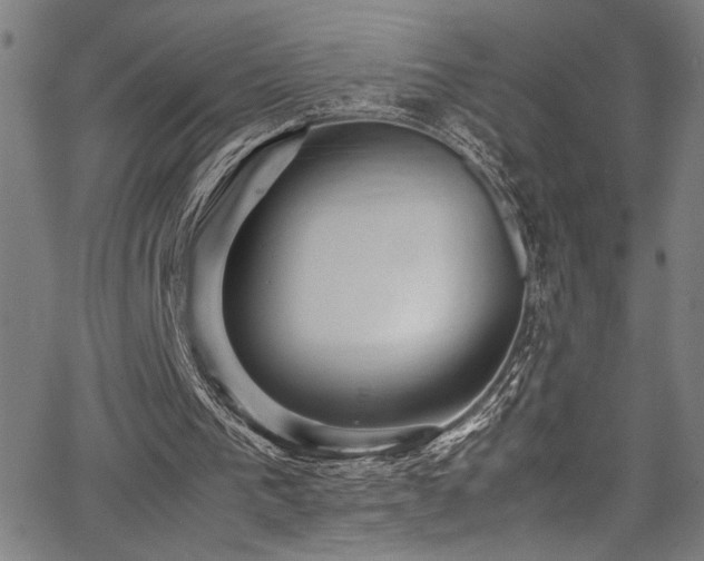 X0000066000193200603031229