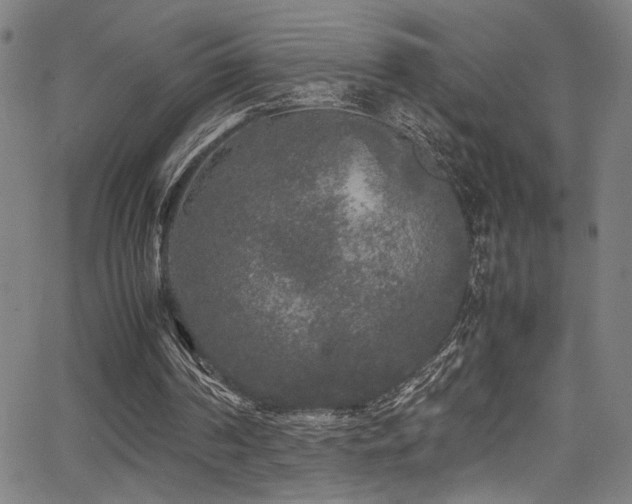 X0000066000194200603031229