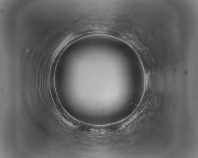 X0000066000195200603031229