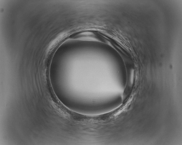 X0000066000197200603031229