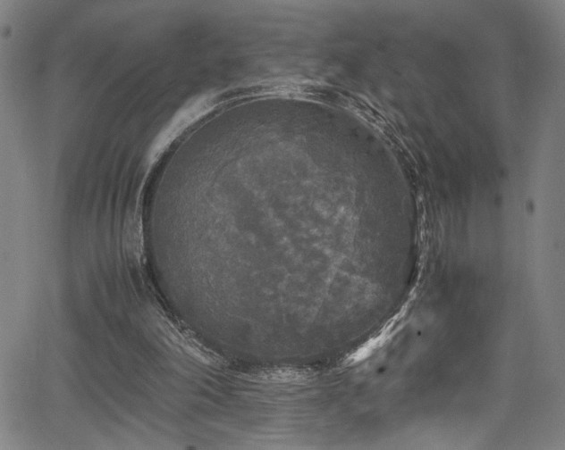 X0000066000198200603031229