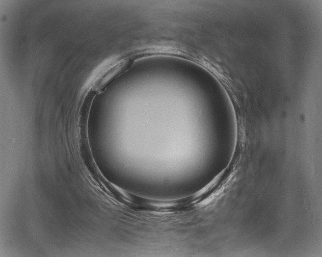 X0000066000199200603031229