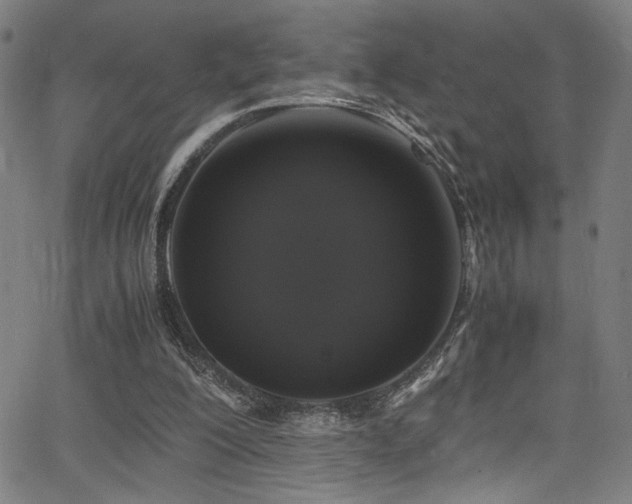 X0000066000200200603031229