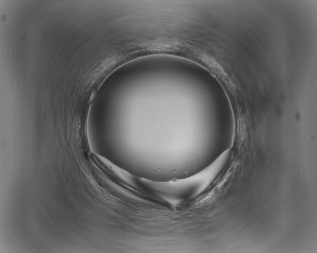 X0000066000201200603031229