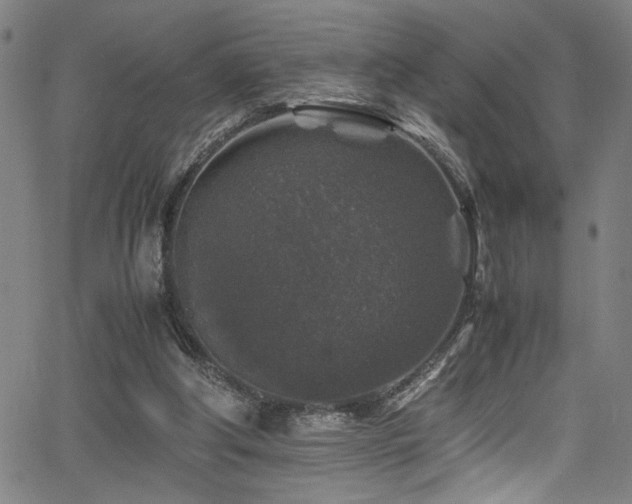 X0000066000202200603031229